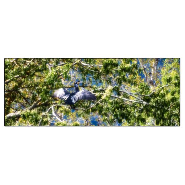 PHOTO84, CLUB, 84 , LUBERON